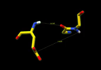 Peptide flip motion