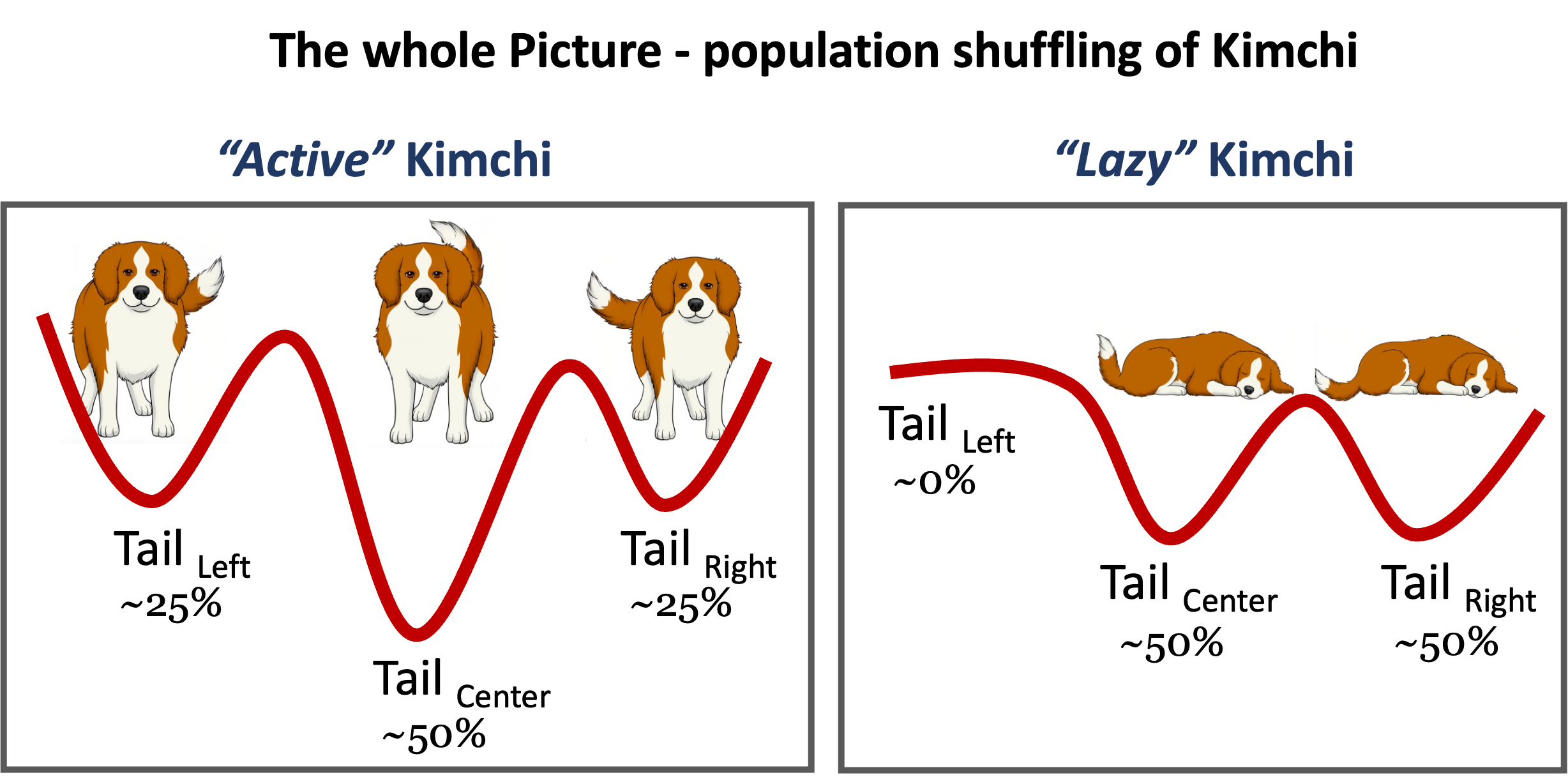 Population shuffling explained